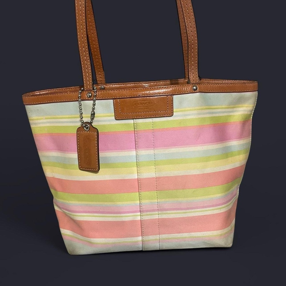 Coach Pastel Hampton Tote Bag with Brown Accents